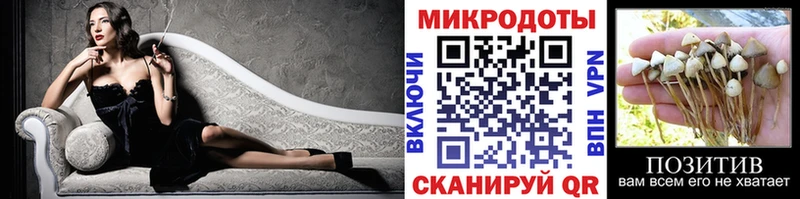 Псилоцибиновые грибы Psilocybe Нефтеюганск